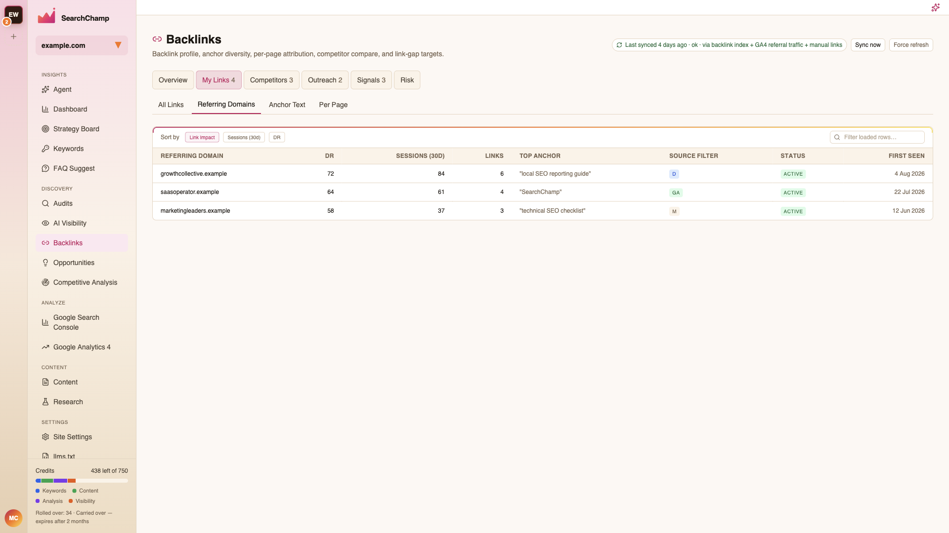 The Referring Domains view