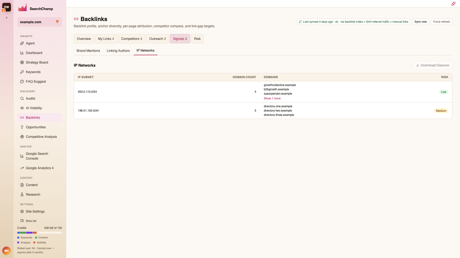 IP Networks grouping referring domains by subnet with a risk rating